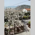 Studio Fancy Ριέκα